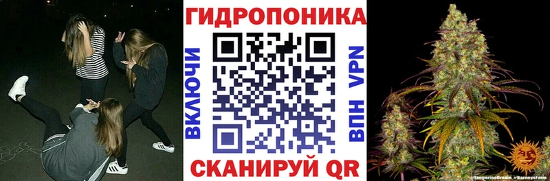 Виды наркотиков купить Яранск Каннабис КОКАИН Мефедрон