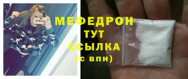 спиды Богородицк