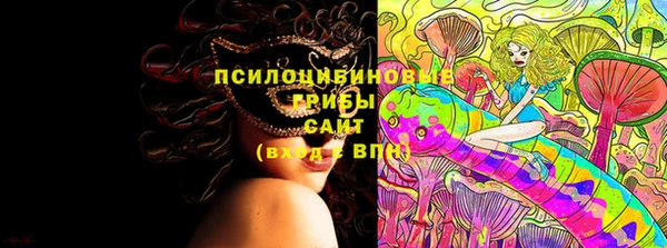 PSILOCYBIN Белоозёрский