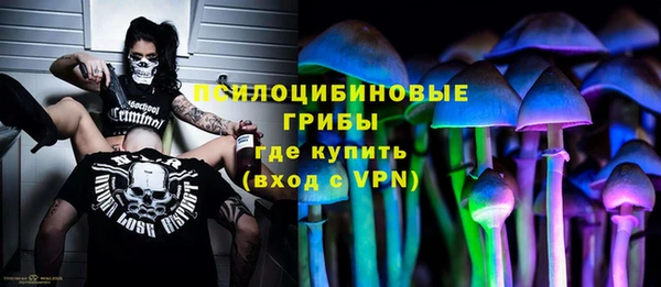 марки lsd Белокуриха