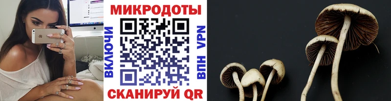мега маркетплейс  Яранск  Галлюциногенные грибы Magic Shrooms  как найти наркотики 